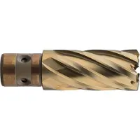 Rotec HSS-XE Kernboor GOLD-LINE, quickin 18, ø20x40 - 5392000
