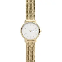 Skagen Signatur SKW2693