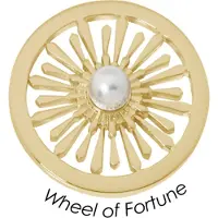 Quoins Disk QMB-61M-G Wheel of Fortune staal goudkleurig (M)