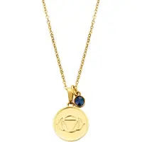 CO88 Collection Collection Chakra 8CN 26052 Stalen Collier met Hanger - Third Eye Chakra en Kristal - Lengte 42 + 5 cm - Goudkleurig / Donker Blauw