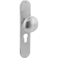 Intersteel Knop op lang schild profielcilindergat 55 mm rvs geborsteld
