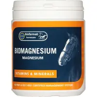 Ginza.se - BioMagnesium - 400g