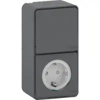 Schneider Electric Schneider Mureva Styl DIY - Combi Wisselschakelaar + WCD - IP55 - Grijs / Antraciet