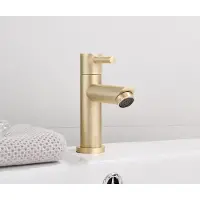 Saniclear Brass fonteinkraan messing geborsteld - goud mat