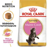 Royal Canin Maine Coon Gevogelte Kittenvoer 2kg