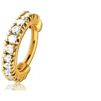 Lucardi Stalen traguspiercing goldplated clicker zirkonia