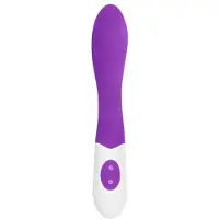 Gc Bend Vibrator -Paars