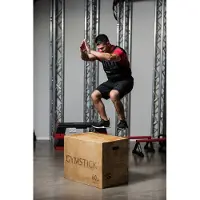 Gymstick Wooden Plyo Box