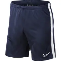 Nike Dry Academy 19 Shorts Blauw 12 Years Jongen