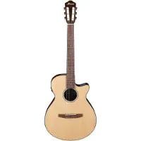 Ibanez Aeg50N-Nt Natural