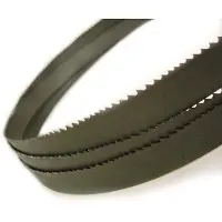 Kippers Rijssen 790007288 BiM Lintzaagblad voor MEP - 0,9 x 27 x 2750mm - 4-6TPI - M42