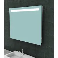 Mueller Bing spiegel met LED 100x80cm