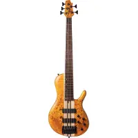 Cort A5 Plus SC Amber Open Pore 5-snarige elektrische basgitaar met deluxe softcase