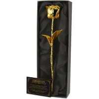 Mikamax - 24K Golden Rose
