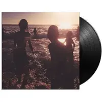 Warner Music One More Light (LP)