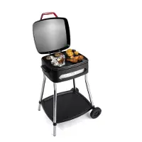 Fritel BBQ 3278
