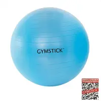 Gymstick Active Exercise Fitbal