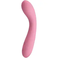 Pretty Love Paul Wand Vibrator