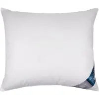 Vandyck Hoofdkussen Pure Nature 3-Kamer 90 Medium (60 x 70 cm)