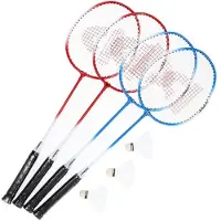 Donnay Badmintonset met Net Rood / Blauw - 4 stuks