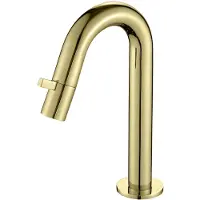 Best design Nancy toiletkraan mat goud
