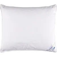 Vandyck Hoofdkussen Kapok Silver Stevig (60 x 70 cm)