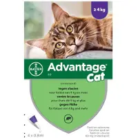 Advantage Nr. 80 Vlooienmiddel (vanaf 4kg) kat 1 verpakking