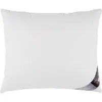 Vandyck Hoofdkussen Pure Nature 3-Kamer 65 (60 x 70 cm)