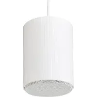 Audiophony SHP510 5 inch hangende luidspreker wit 10W - 100 volt (per stuk)