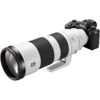 Sony A9 II + 200-600mm FE F/5.6-6.3 G OSS