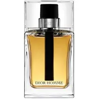 Dior Herengeuren Dior Homme Eau de Toilette Spray 100 ml