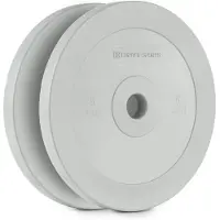 Capital Sports Methoder Techniekschijf Gewichtsplaten Rubber Paar 5 kg grijs