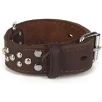 Beeztees Noppy - Hondenhalsband - Bruin - XS - 29-36.5 cm x 35 mm bruin