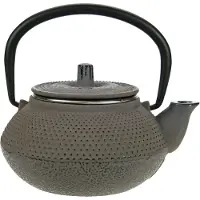 C&T Kobe Brown Grey Theepot 0.3lgietijzer Met Filter Tsp75
