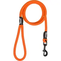Rebel Petz Hondenriem - Oranje - L - 12mm x 140cm