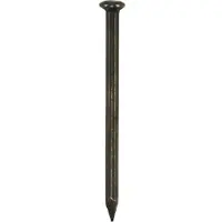 Don-Quichotte Don Quichotte Stalennagel Bk 2x30mm Blauw staal - 1kg
