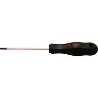 Skandia Torx-schroevendraaier TX27 x 105/205mm