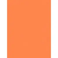AS-Creation ORANJE UNI BEHANG - AS Creation X-Ray