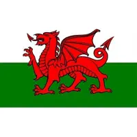 Fostex Vlag Wales
