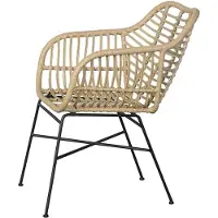 Lisomme Dax rotan tuinstoel naturel