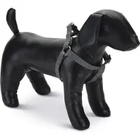 Beeztees - Borsttuig Hond - MacLeather - Grijs - 35-60 cm