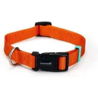 Beeztees nylon halsband Uni Oranje 48-70x25
