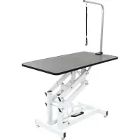 vidaXL Hydraulisch verstelbare trimtafel met aanlijnoptie