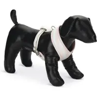 Beeztees BZ PUPPY BORSTTUIG FILANA L RZE