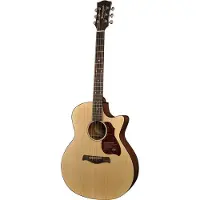 Richwood Akoestische gitaar auditorium G-20-CE
