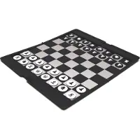 HOT Games Schaak Reis Etui Magnetisch (20x17cm)
