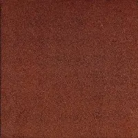 Gardenlux 2 stuks! (0.5m2) Rubbertegel rood 50x50x4.5 cm