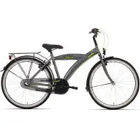 Bike Fun Bikefun kinderfiets Urban City, 26 inch, met Nexus 3 versnellingen en een geïntegreerde remnaaf – titaniumkleur