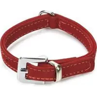Beeztees BZ LEER HBD BUFFEL STR ROOD 24 (24, Hond, Algemeen)