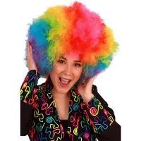 Partyxplosion Afro Pruik Regenboog